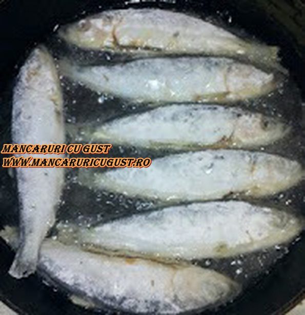 Reteta sprot cu mamaliga