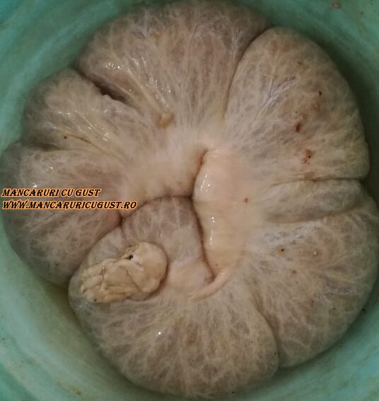 Reteta traditionala Lebar de casa