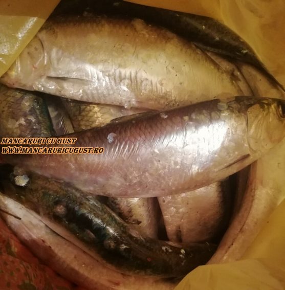 Articol Scrumbia de Dunare mentine sanatoasa glanda tiroida
