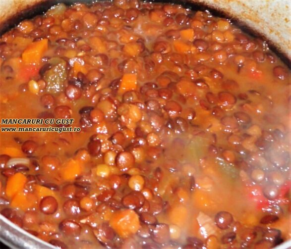 Mancare de linte de post cu legume