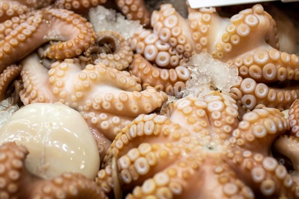 Caracatita la gratar cu ierburi aromatice si lamaie